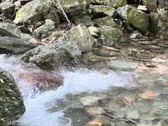 -本溪汤沟绿石谷森林公园
