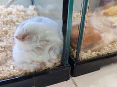 -鹏欣水游城