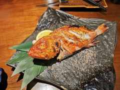 -一豚轩·烧鸟·豚骨拉面(五四路店)