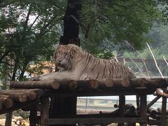 -北京野生动物园