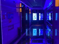 -温莎KTV(珠江路店)