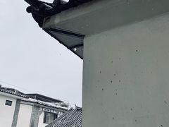 -傣乡之味·傣族特色手抓饭·孔雀宴(大理古城首店)