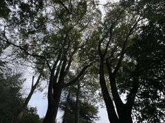 -狼山风景名胜区