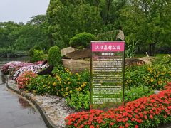 -上海滨江森林公园