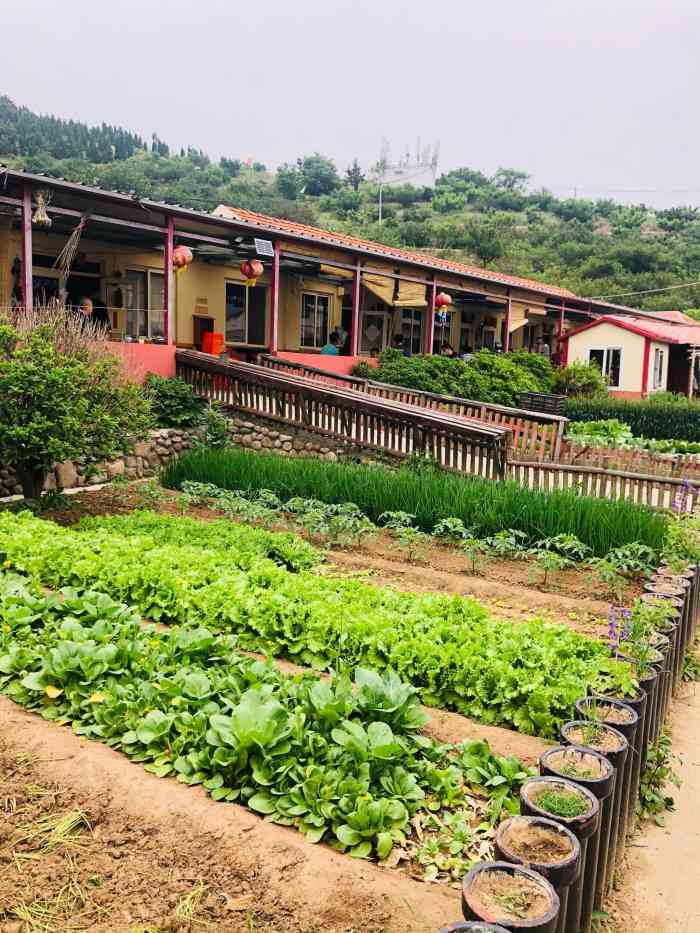 明秀园山庄-"今天和朋友相约去崂山的明秀园吃农家宴,我.