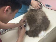 -宠颐生中康贝怡动物医院