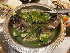 -狮拾久·现代新加坡料理(福田COCO Park店)