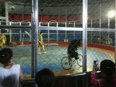 android_upload_pic-西安秦岭野生动物园