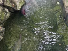 -青青世界