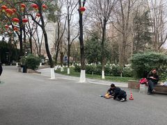 -绵阳人民公园(涪城区)