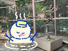 -南宫五洲植物乐园