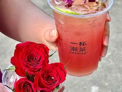 -一杯潮茶·专注潮汕茶饮(十二中创始店)