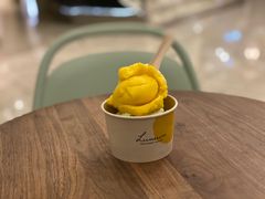 芒果百香果雪葩-LUNEURS月乐诗·法式冰淇淋(环贸店)