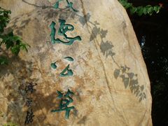 DSC00915-茂德公草堂