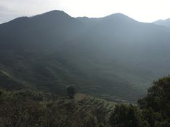 -蓝天清水湾国际大酒店