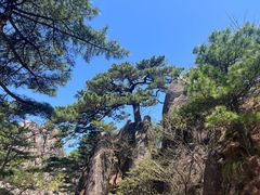 -黄山风景区