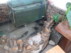 android_upload_pic-369美食(清凉峡路店)