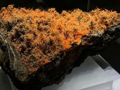 -湖南省地质博物馆