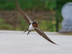 -小世界西餐厅(建国门店)