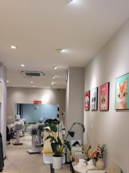 体验后-洗脸猫·洗脸吧