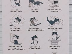 -悦宠凯宝动物医院·牙科·皮肤科(朝阳北路店)