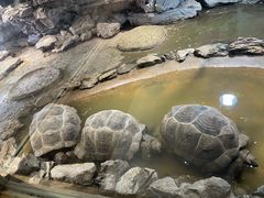 -杭州野生动物世界
