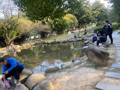 -堤角公园