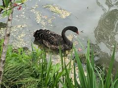 -东园小馆·早茶·淮扬小炒(宋夹城店)