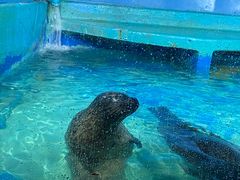 -太平洋海底世界