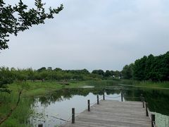-阳澄湖半岛旅游度假区