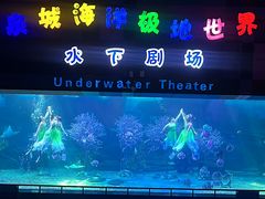 -泉城欧乐堡海洋极地世界