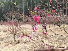 -南国桃园旅游度假区