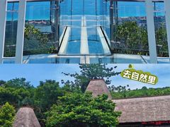 -亚龙湾国际玫瑰谷