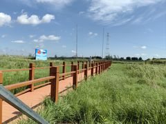 -黑瞎子岛探秘野熊园