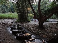 -成都市活水公园