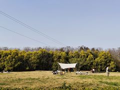 -白鹭湾湿地公园