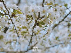 -白塘生态植物园