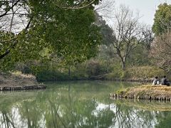 -西溪国家湿地公园