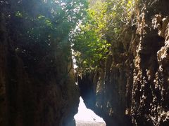 -鹅銮鼻公园