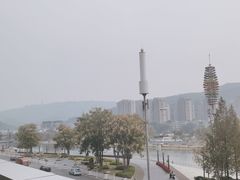 -桃花源中餐厅(金茂豪华精选酒店)