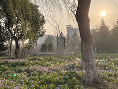 -江南大学(蠡湖校区)