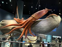 -浙江自然博物院(杭州馆)