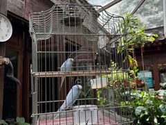 -束河人家(南锣鼓巷店)