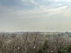 -狼山风景名胜区