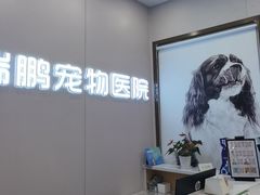 -瑞鹏宠物医院·微创内窥镜·骨外科·牙科(翠竹分院)