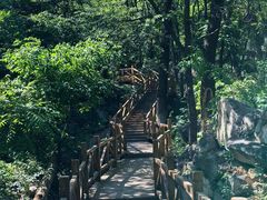 -大岭沟猕猴桃谷风景区