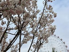 -观澜湖生态运动公社