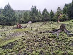 -硗碛藏寨·神木垒景区