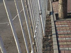 -辽宁大学(崇山校区)