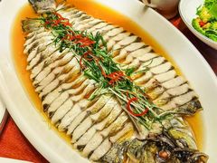 -老江南春·中国龙菜(衡山路店)